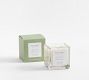 Verte Scent Collection - Cut Basil