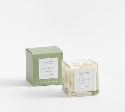 Verte Scent Collection - Fresh Fig