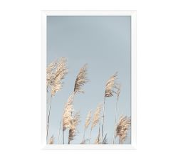 Pampas In The Wind Framed Print
