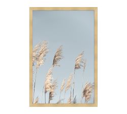 Pampas In The Wind Framed Print