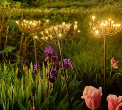 Solar Outdoor Lit Blossom Lawn Stake
