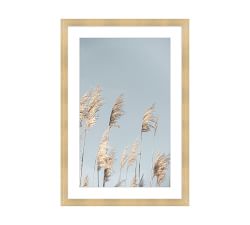 Pampas In The Wind Framed Print