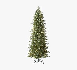 Open Box: Lit Oregonian Slim With Clear LED Lights, 9'