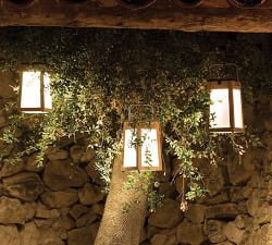 Nellie Solar Outdoor Lantern