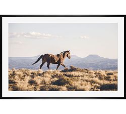 Sunrise Stallion by Jennifer Meyers