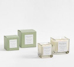 Verte Scent Collection - Jasmine &amp; Oakmoss