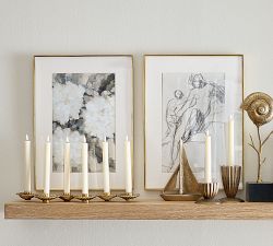 Brass Shell on Stand