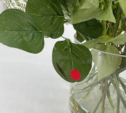 Open Box: Faux Composed Wild Mixed Greens