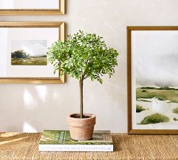 Faux Boxwood Topiary