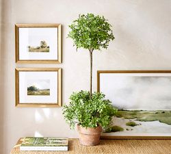 Faux Boxwood Topiary