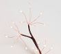 Twinkling Twig String Lights
