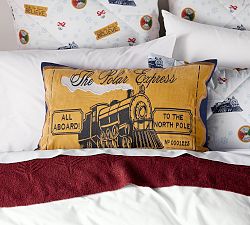 The Polar Express™ Ticket Lumbar Pillow Cover