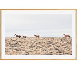 Open Box: Mustang's In The High Plains By Jennifer Meyers (42" x 28"), Wood Gallery with Mat - Natural