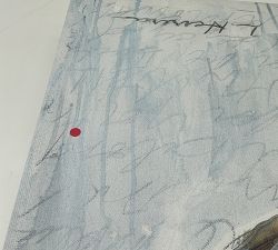 Open Box: Shell Study #1 by Lauren Herrera (16" x 20")