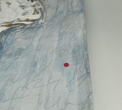 Open Box: Shell Study #1 by Lauren Herrera (16" x 20")