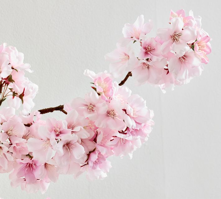 Faux Cherry Blossom Bundle | Pottery Barn