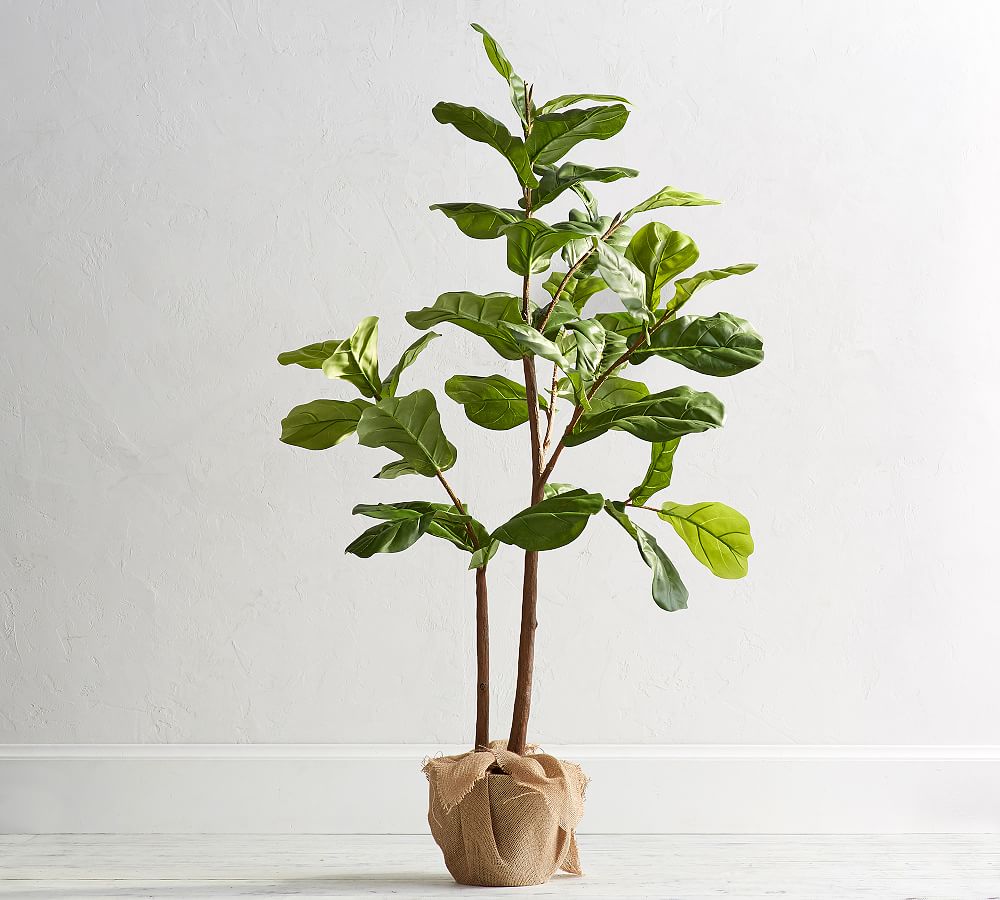 Faux Fiddle Leaf Fig Trees - Small, 5'