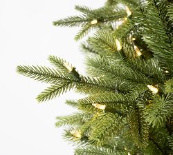 Tree Classics by Balsam Hill Addison Spruce Christmas Tree with Lights