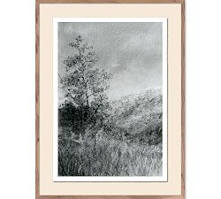 Landscape Study I &amp; II Wall Art By Aileen Fitzgerald