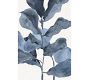 Blue Sea Oats Unframed Canvas