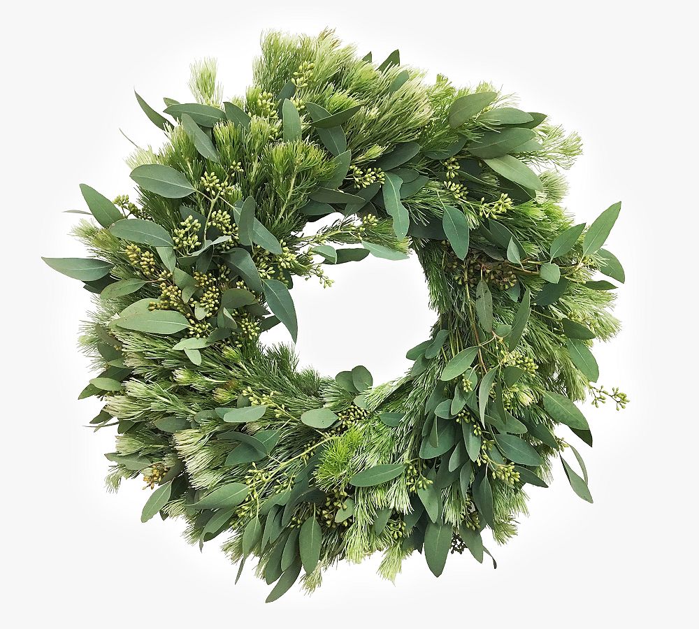 Fresh Wooly Bush and Eucalyptus Wreaths thumbnail 3
