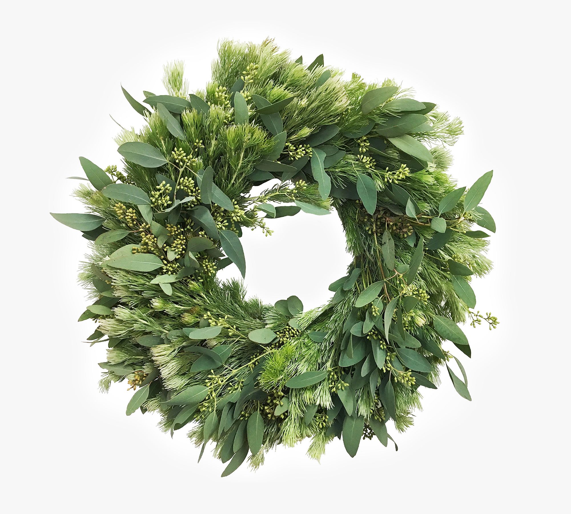 Fresh Wooly Bush and Eucalyptus Wreaths