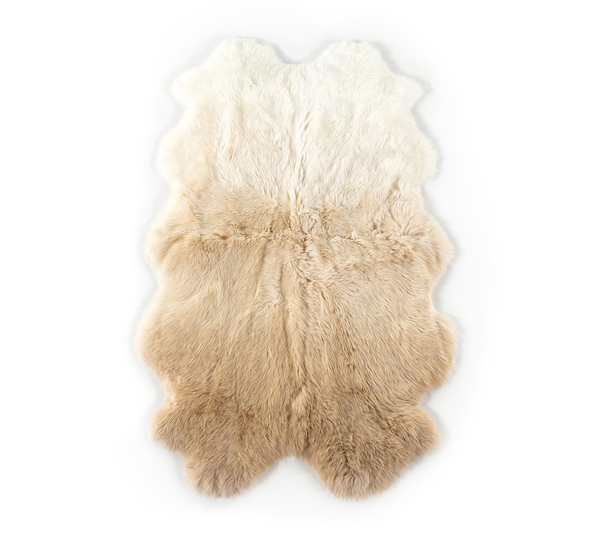 Patton Ombre Lambskin - thumbnail 2