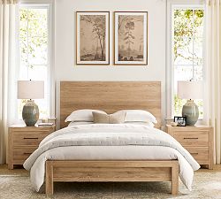 The Old Forest by Chelsea Fly