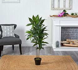 Faux Potted Dracaena Plant
