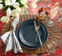 Ava Ikat Print Organic Cotton Napkins - Set of 4