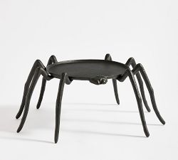 Spider Plant Stand