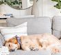 PB Comfort Roll Arm Slipcovered 3-Piece L-Shaped Sectional (108")
