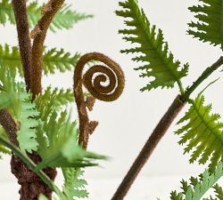 Faux Potted Wide Trunk Fern