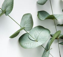 Faux Baby Blue Eucalyptus Branch