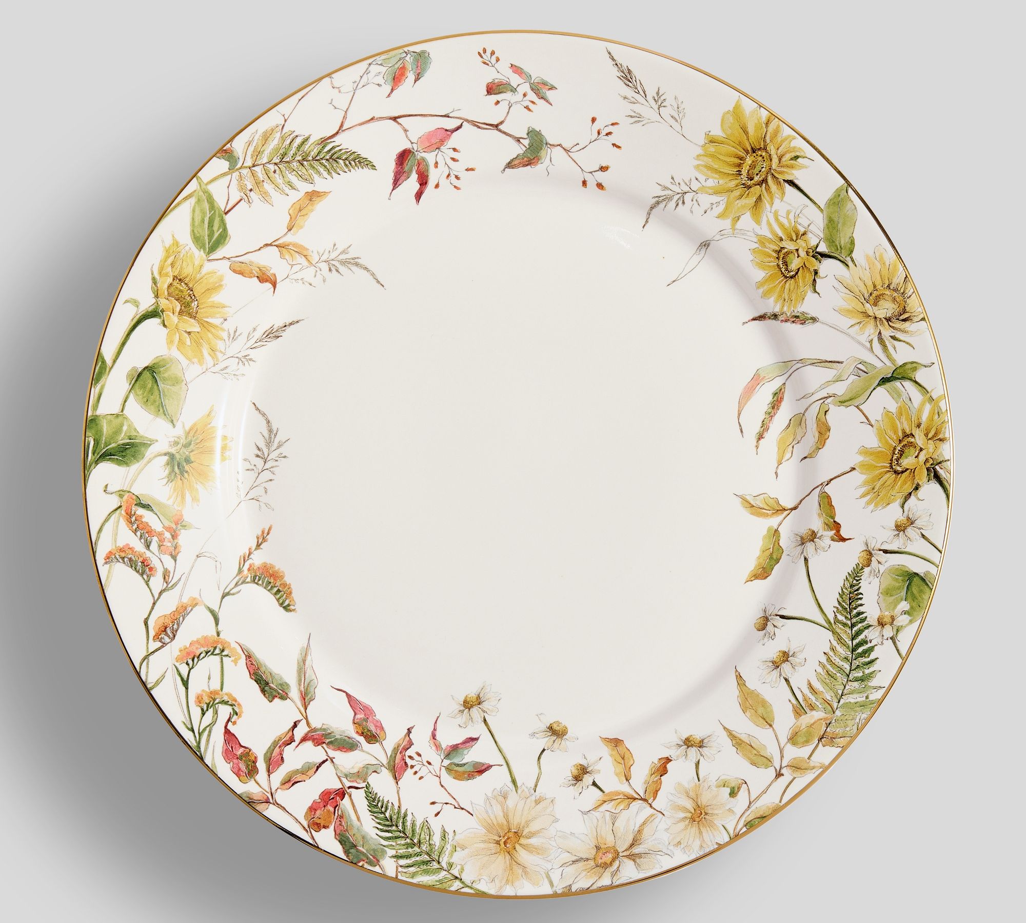 Bedford Harvest Stoneware Dinner Plates - Set of 4