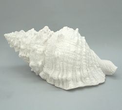 Decorative Lit Frosted Glass Sea Shell