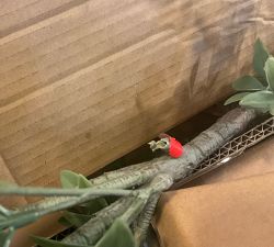 Open Box: Faux Black Olive Tree (7') - Green