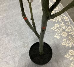 Open Box: Faux Olive Tree (6'H)