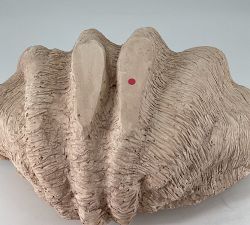 Open Box: Shell Party Bucket, Small - Natural