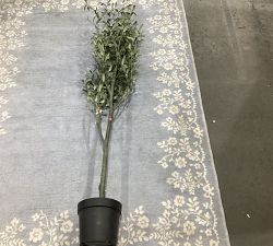 Open Box: Faux Olive Tree (6'H)