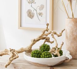 Dried Grapewood Branch