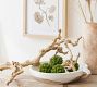 Dried Grapewood Branch