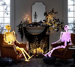 Lit Mr. Bones