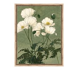 White Poppies Framed Print by Carleigh Courey