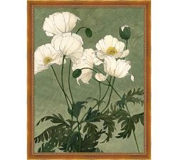 White Poppies Framed Print by Carleigh Courey