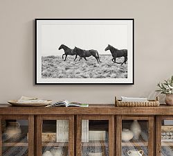 American Wild Horses by Jennifer Meyers