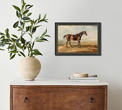 Apollo, Jasper, Samson, Hazel Framed Prints