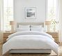 Sunlit Horizon Framed Print