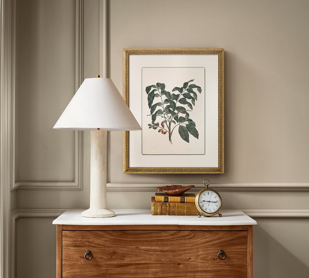 Vintage Botanical Framed Print by Pottery Barn