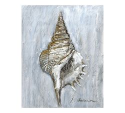 Shell Study #2 by Lauren Herrera